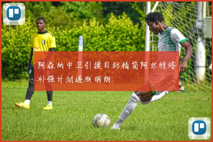 阿森纳中卫引援目标精简阿尔特塔补强计划逐渐明朗